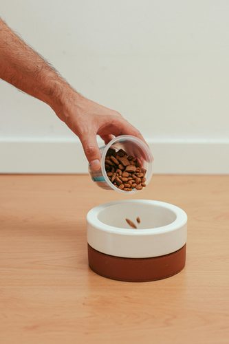 Drop-In Visit