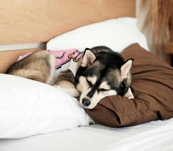Sleepover
